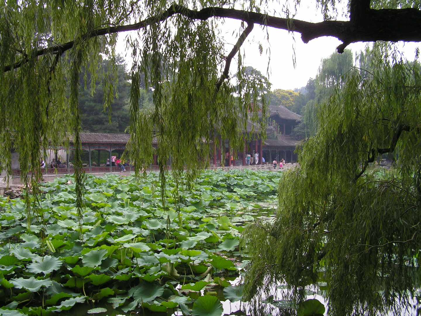 Beijing_20060724_025.jpg